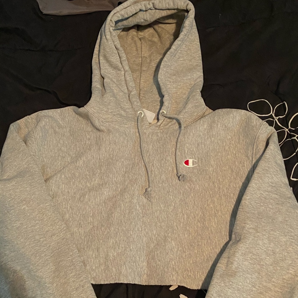Champion crop hoodie
